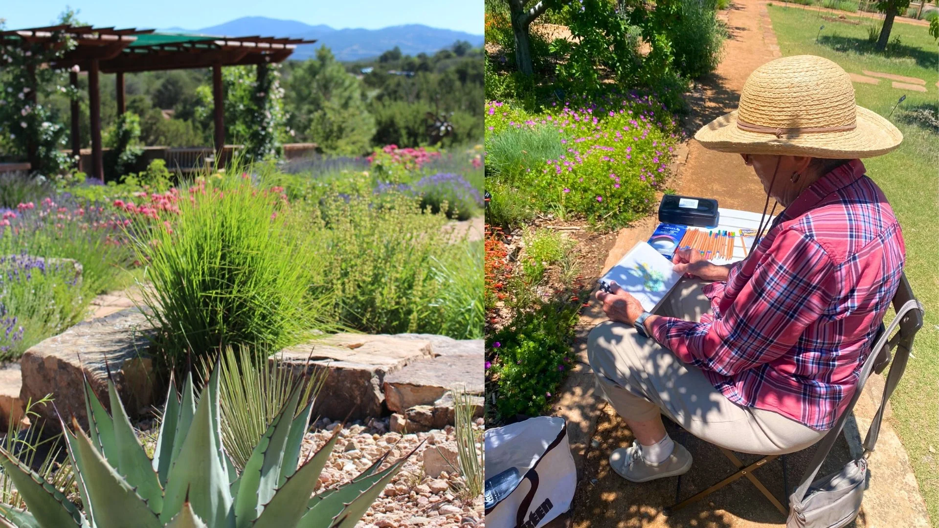 Art Class: Springtime Nature Sketching 
