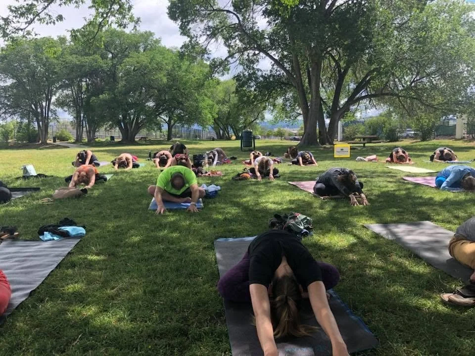 Yoga in the Park is Back! 