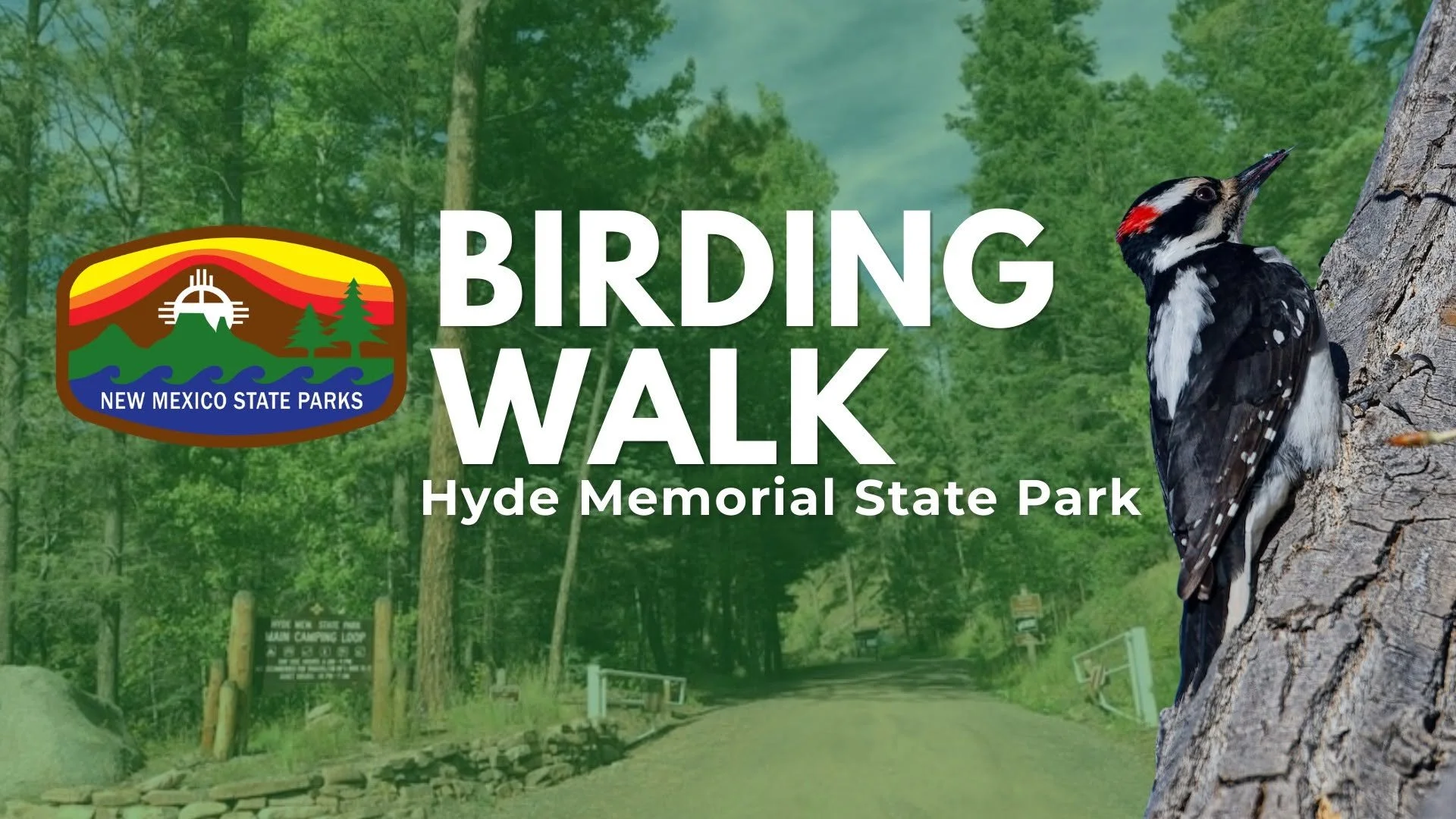Bird Walking at Hyde Memorial State Park 
