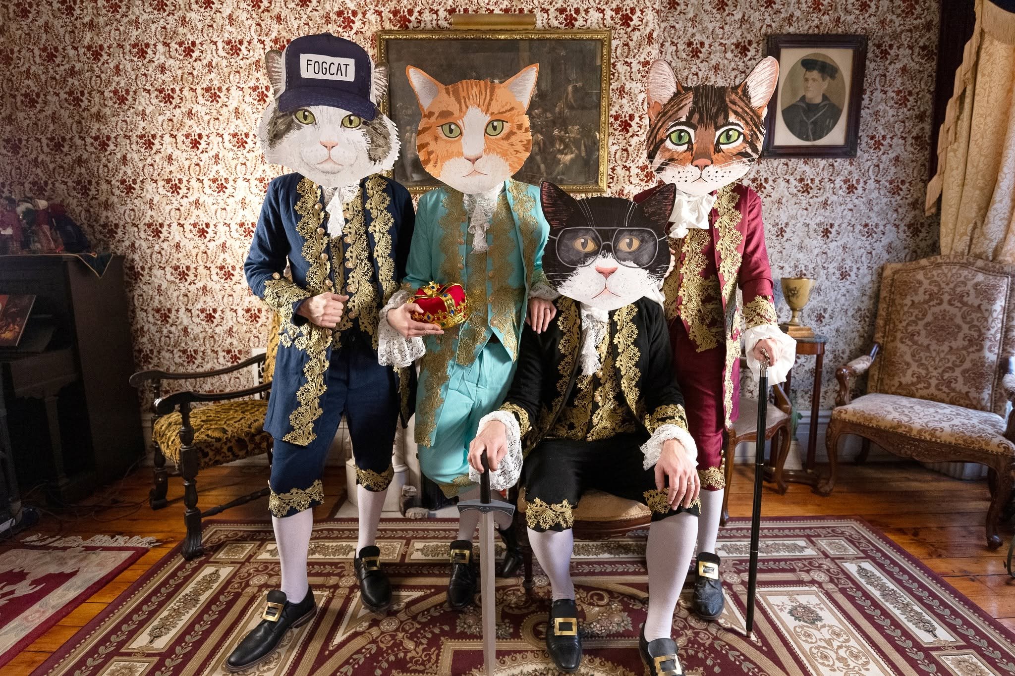 Fantastic Cat 