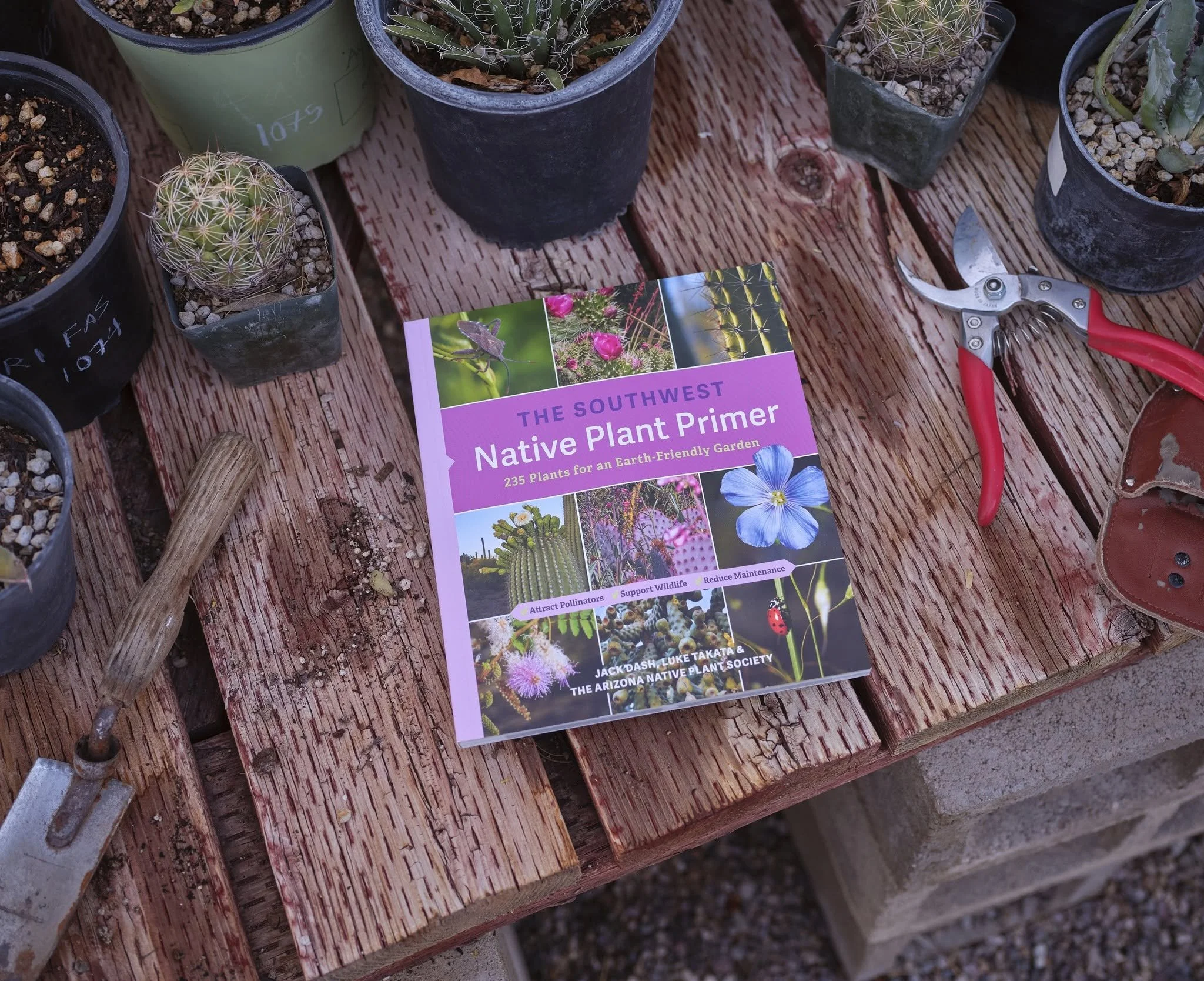 The Southwest Native Plants Primer