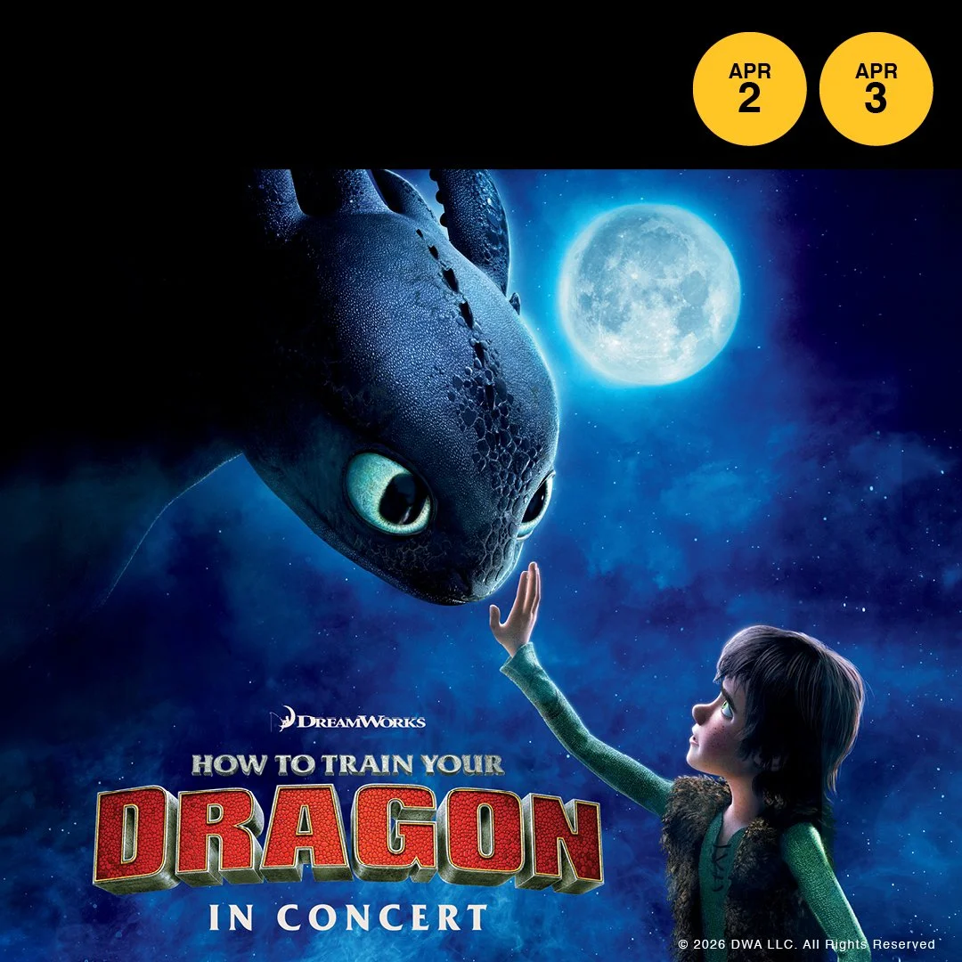 How to Train Your Dragon - In Convert 