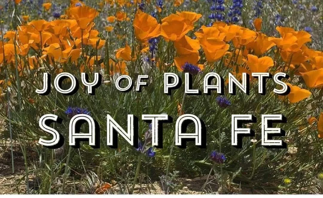 Plant Swap - The Joy of Plants 