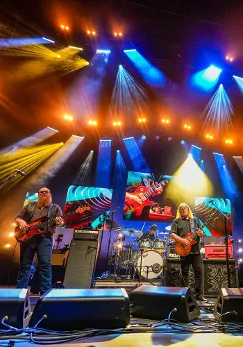 Govt Mule 