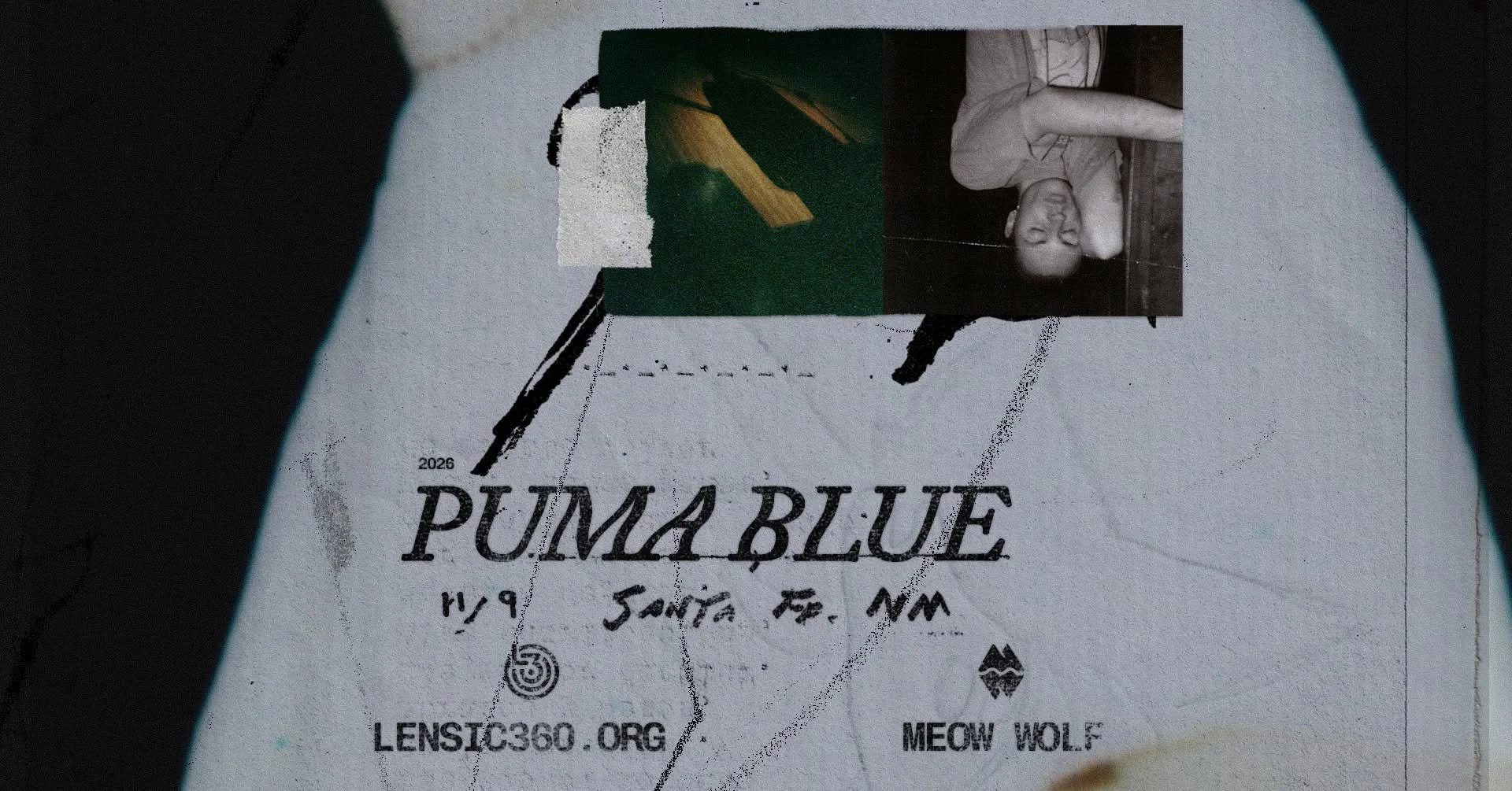 Puma Blue 