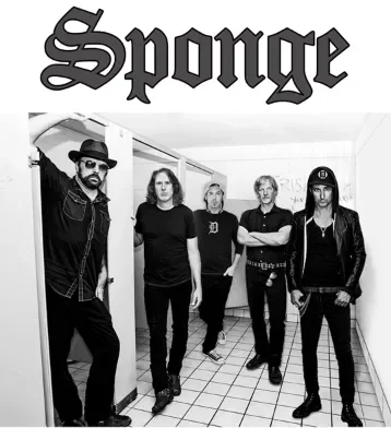 The Sponges 
