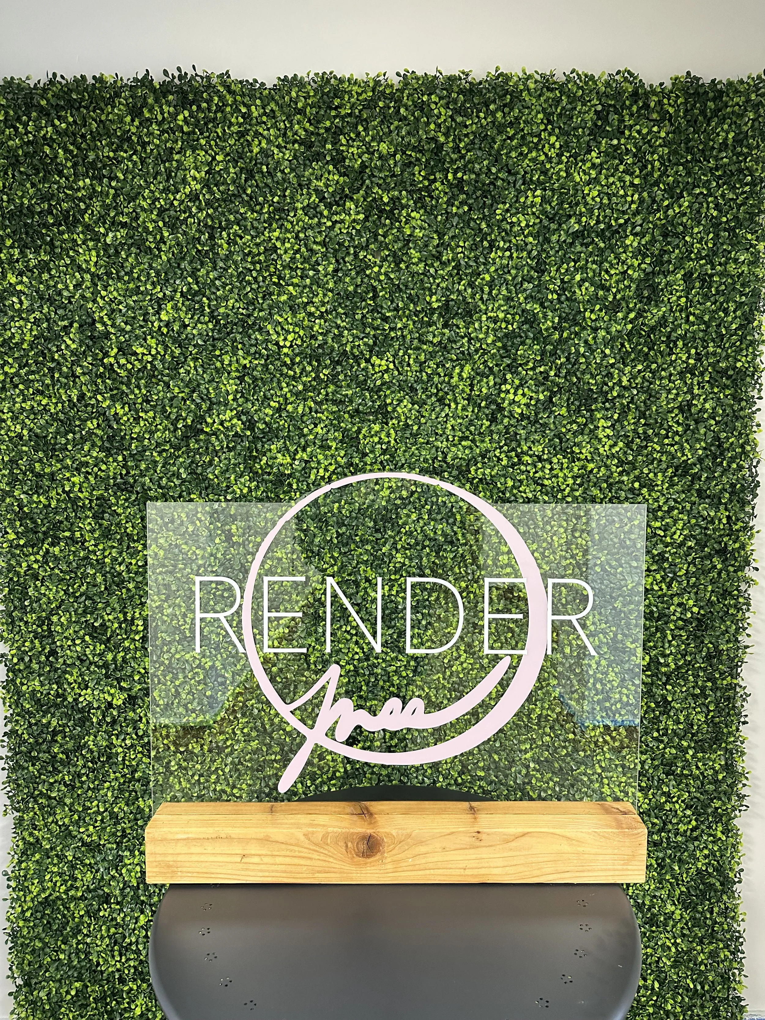 Render Free by Dana Smith