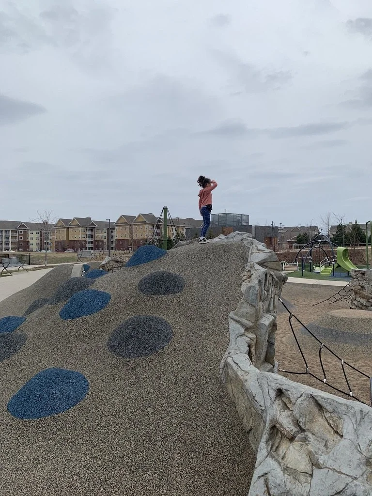 Central Park by Dana Smith