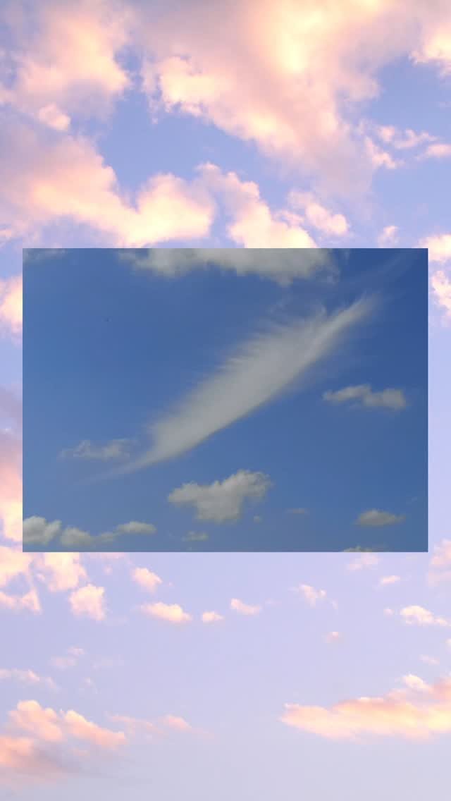 Slide 7