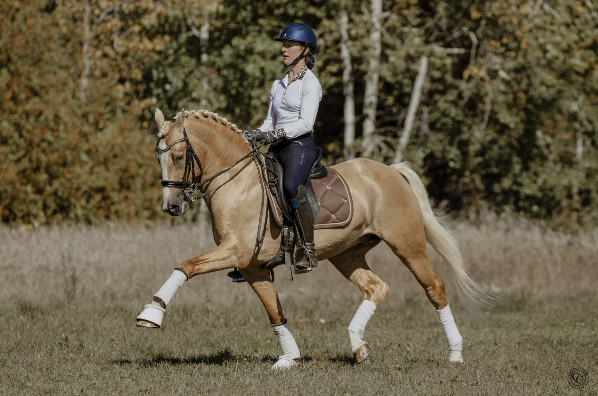 Screen Shot 2024-06-26 at 2.47.23 PM.png