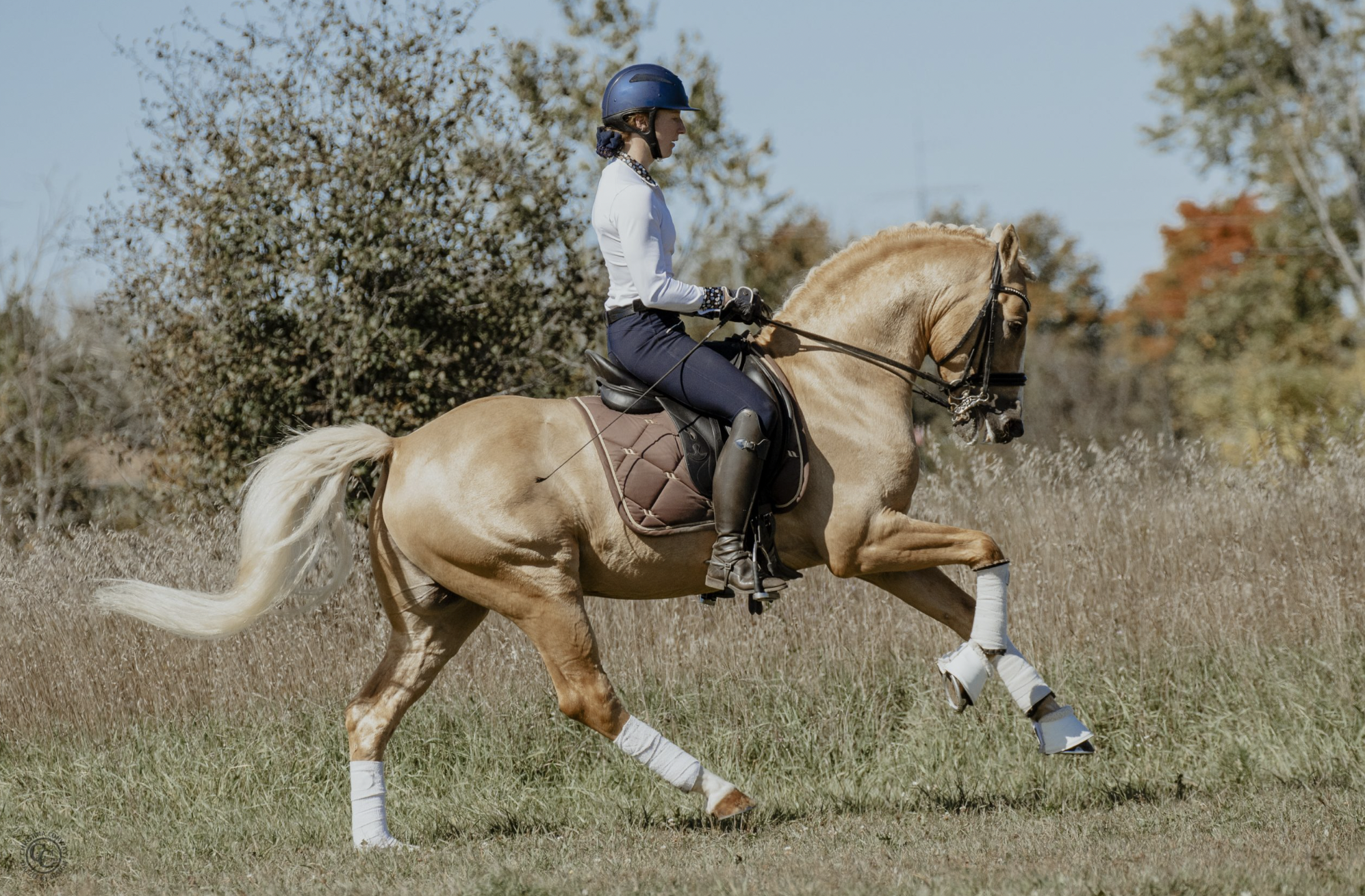 Screen Shot 2024-06-26 at 2.45.26 PM.png