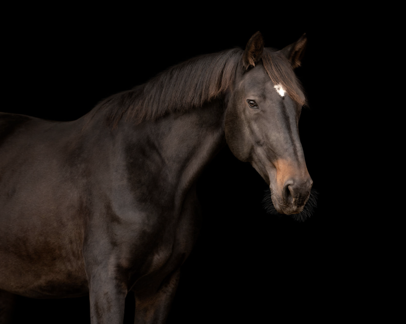 Screen Shot 2025-12-01 at 5.20.56 PM.png