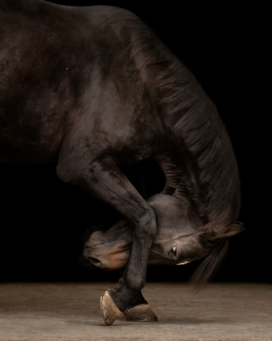 Screen Shot 2025-12-01 at 5.21.22 PM.png