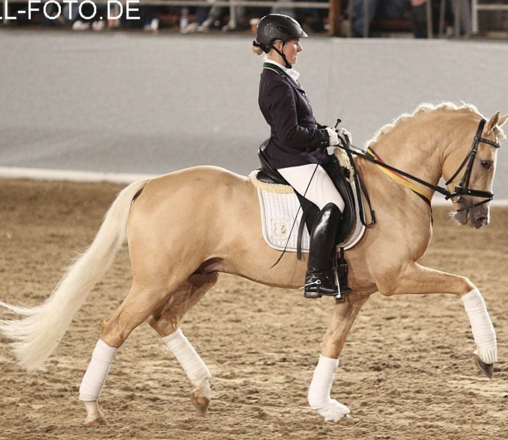 Screen Shot 2025-01-04 at 6.10.38 AM.png