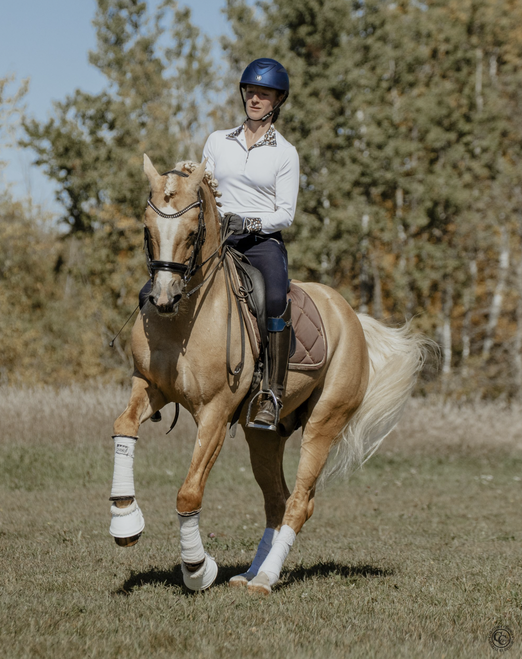 Screen Shot 2024-06-26 at 2.45.41 PM.png