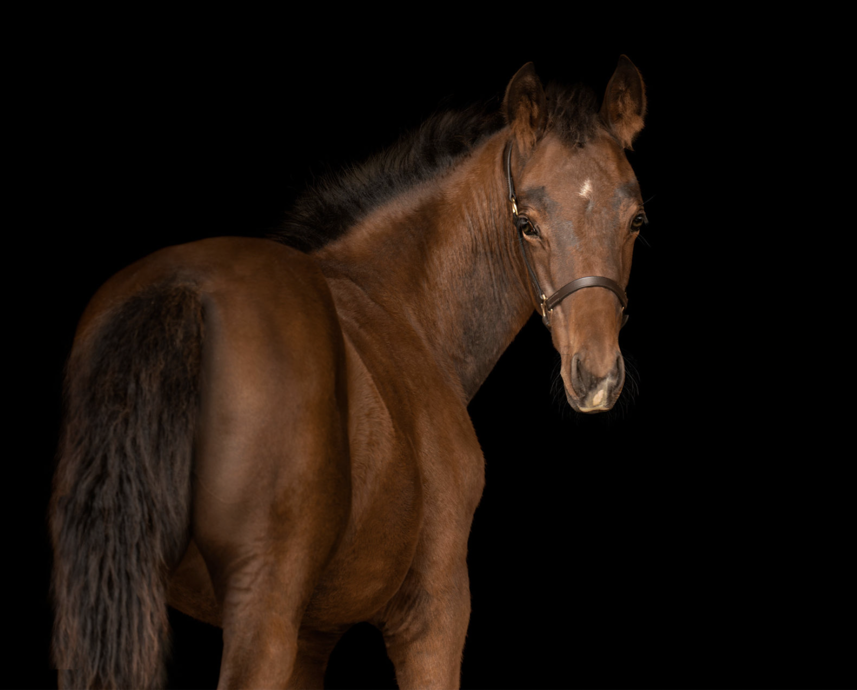 Screen Shot 2025-12-01 at 5.15.34 PM.png