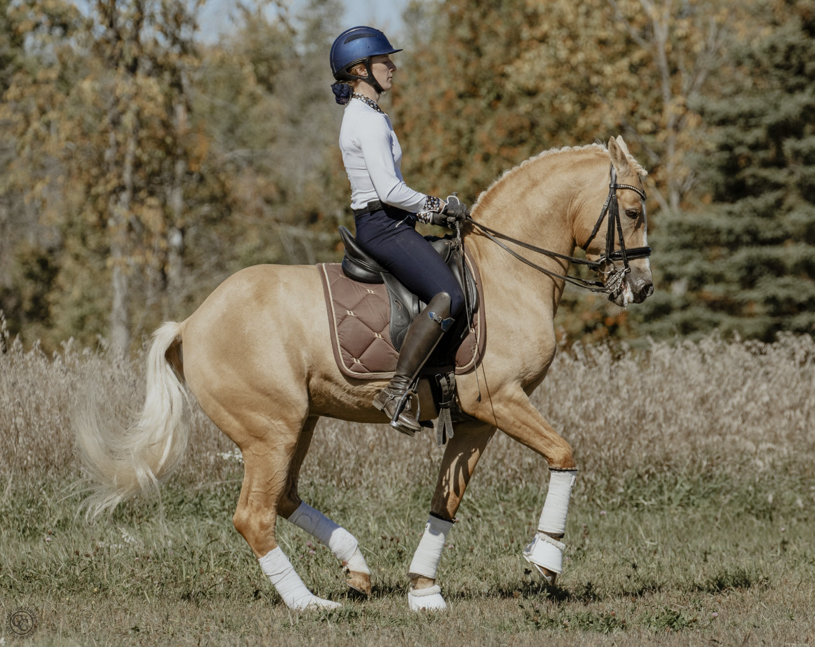 Screen Shot 2024-06-26 at 2.45.53 PM.png