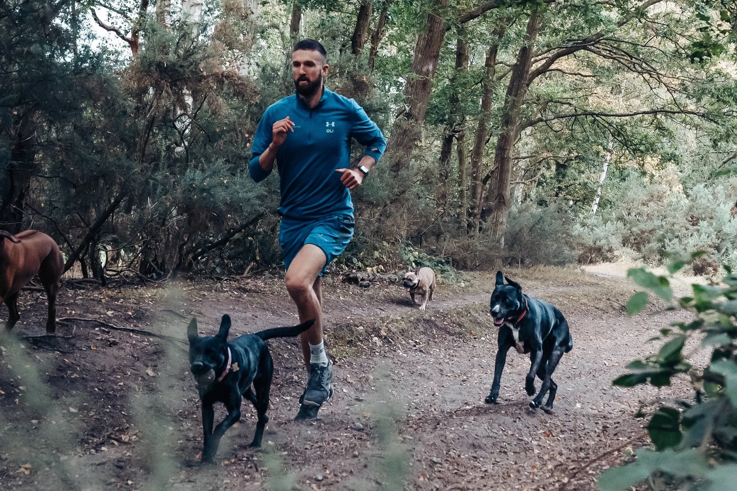 How Much Exercise Does My Dog Really Need? A London Owner's Guide