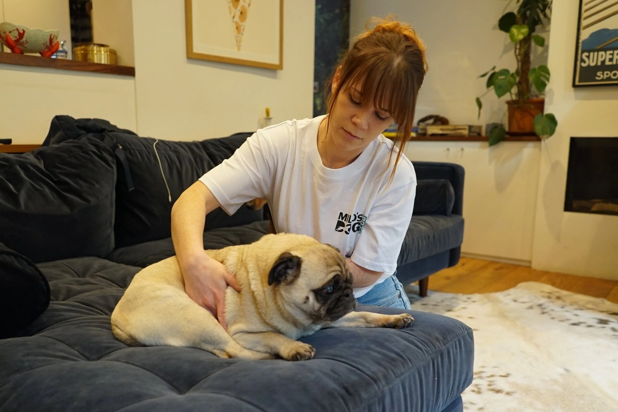 How to Care for Your Dog's Paws After Long Walks or Runs