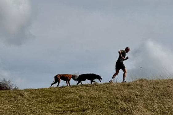 Understanding Your Dog's Body Language on Group Walks