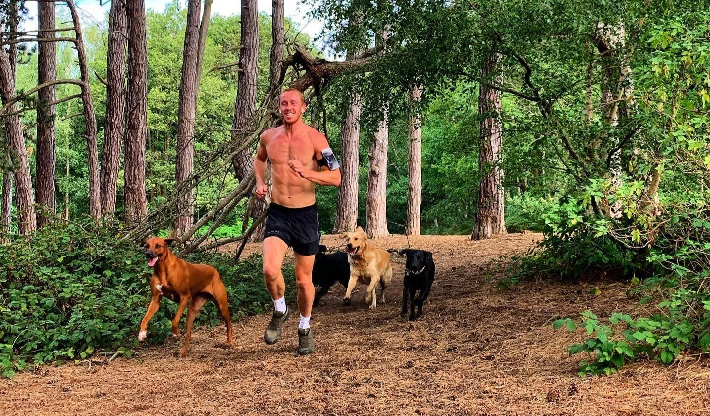 What Is a Pack Run? A Complete Guide for New Dog Owners