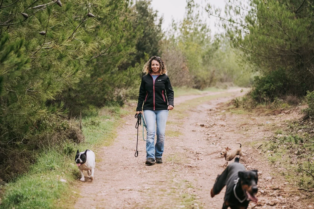 Adventure Walks vs. Pack Runs: Which Is Right for Your Dog?