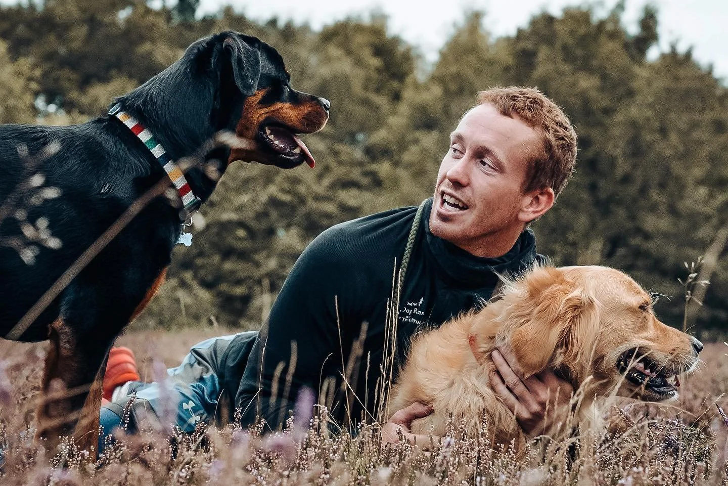 How We Keep Dogs Safe on Multi-Hour Adventures