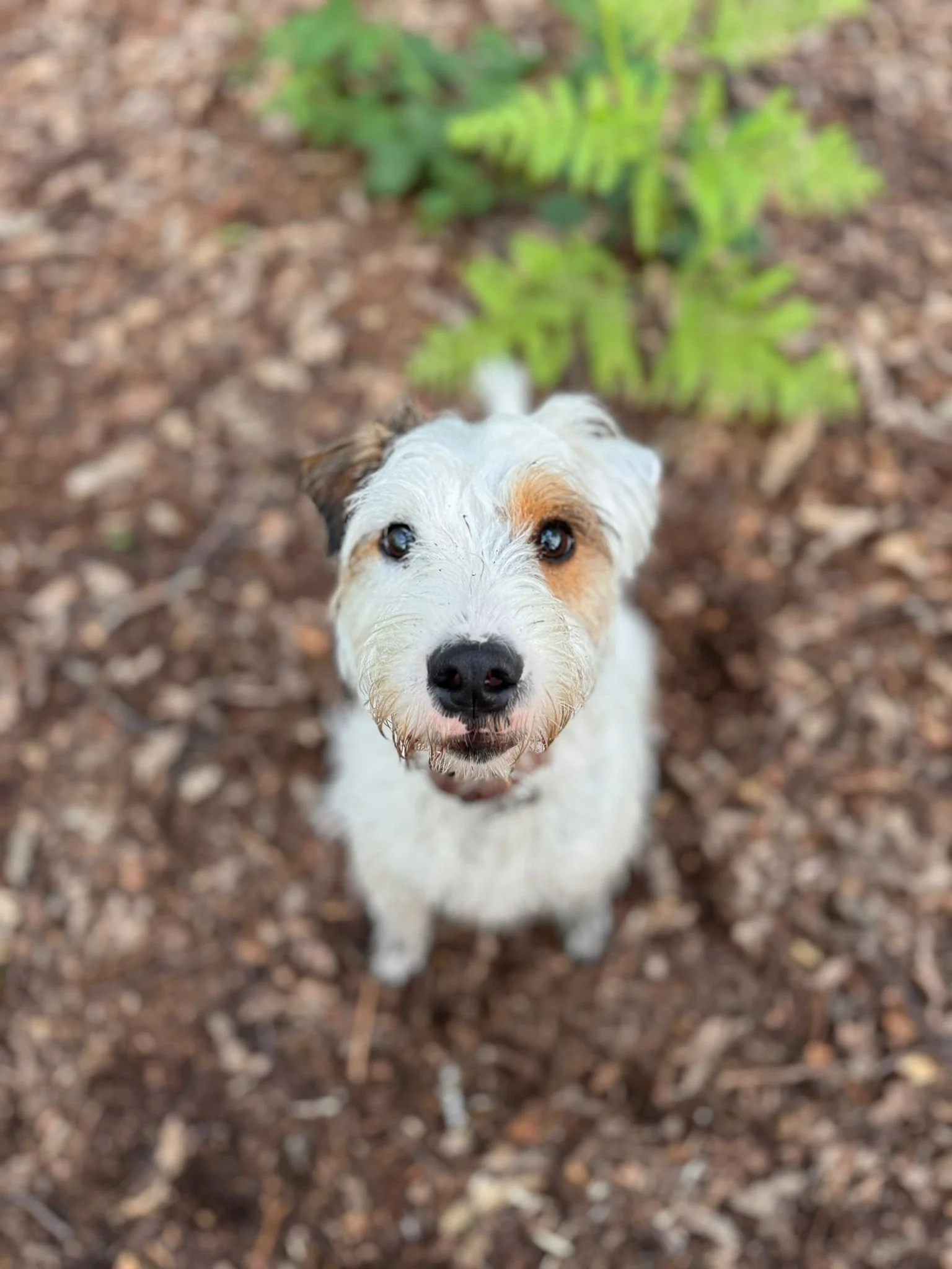 WhatsApp Image 2025-10-01 at 14.52.59.jpeg