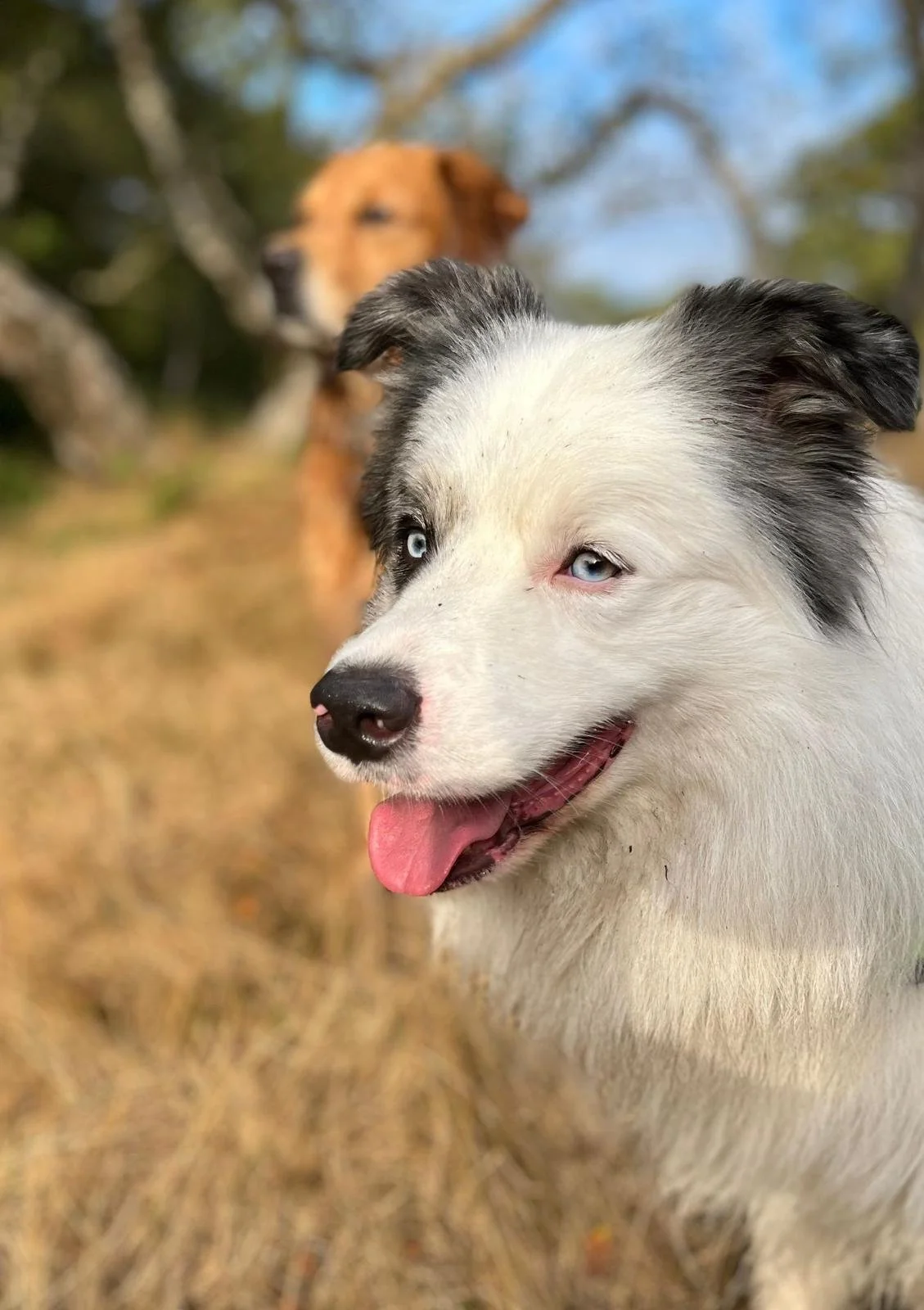 WhatsApp Image 2025-10-01 at 14.54.34.jpeg