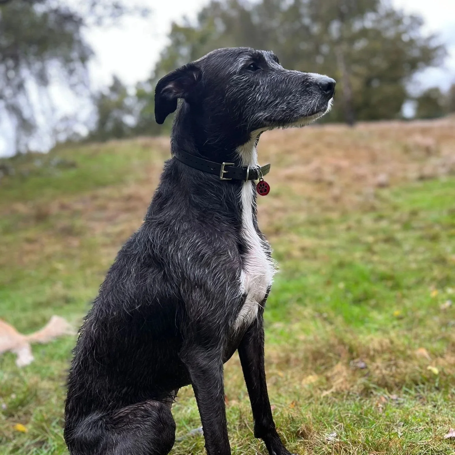 WhatsApp Image 2025-10-01 at 14.51.58.jpg