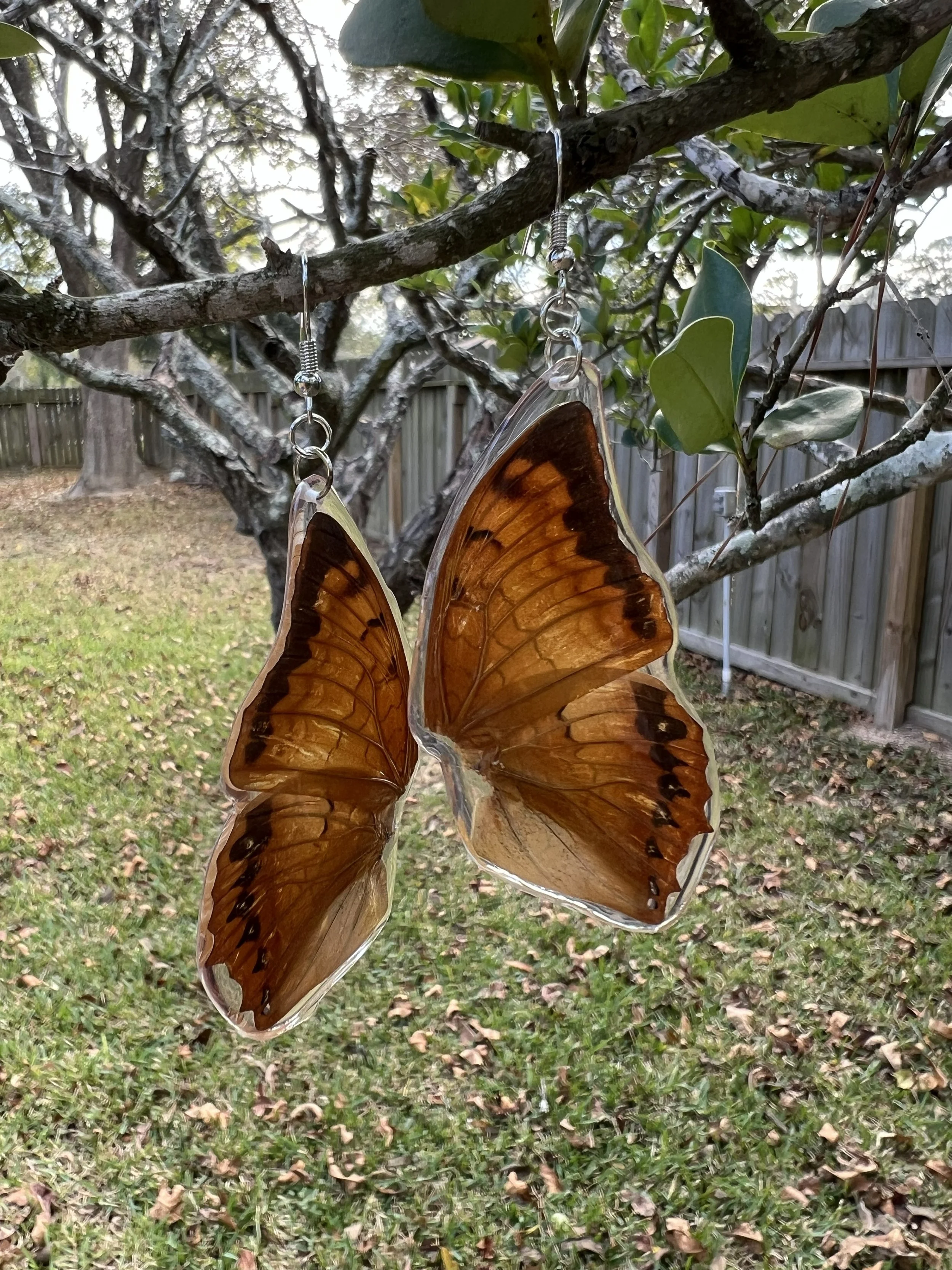Brown and Black Butterfly Wings Dangle Earrings