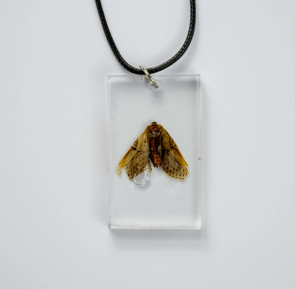 Rectangle Moth Pendant