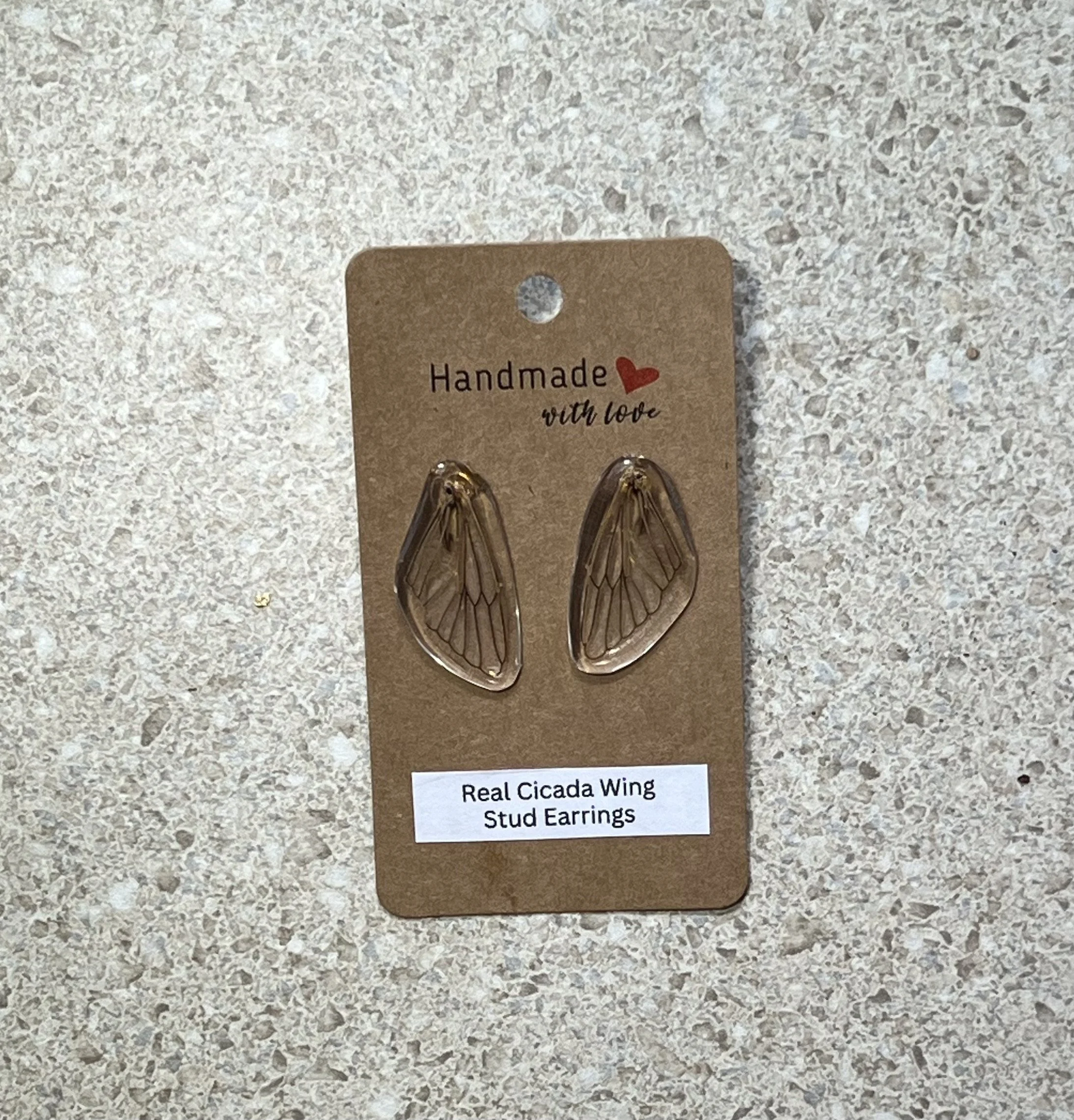 Real Cicada Wing Stud Earrings