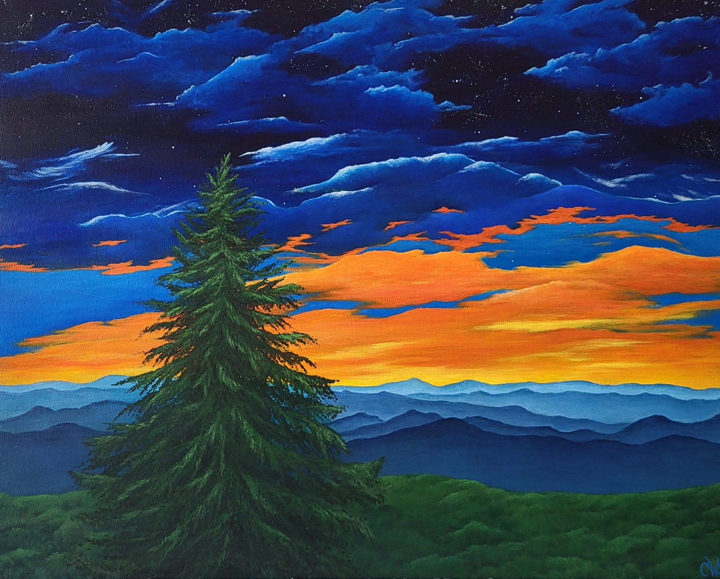 MOUNTAIN VIBES 24" X 30"
$1400