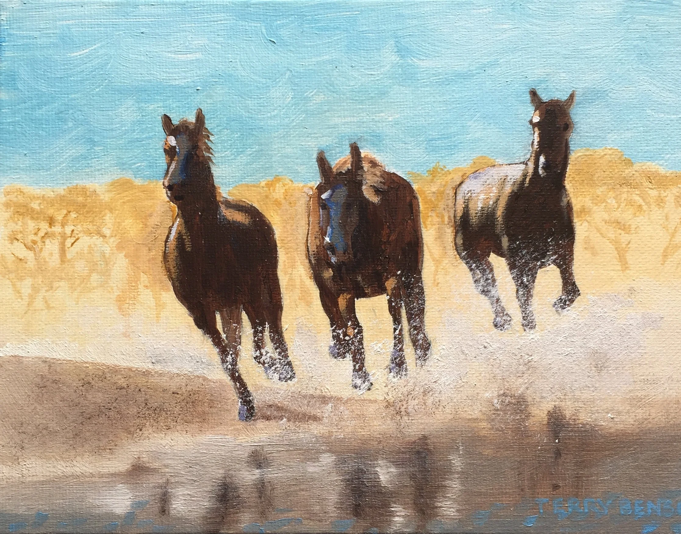 "Horses Stampede"