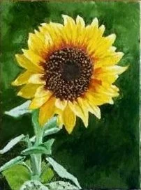 "Sunflower"