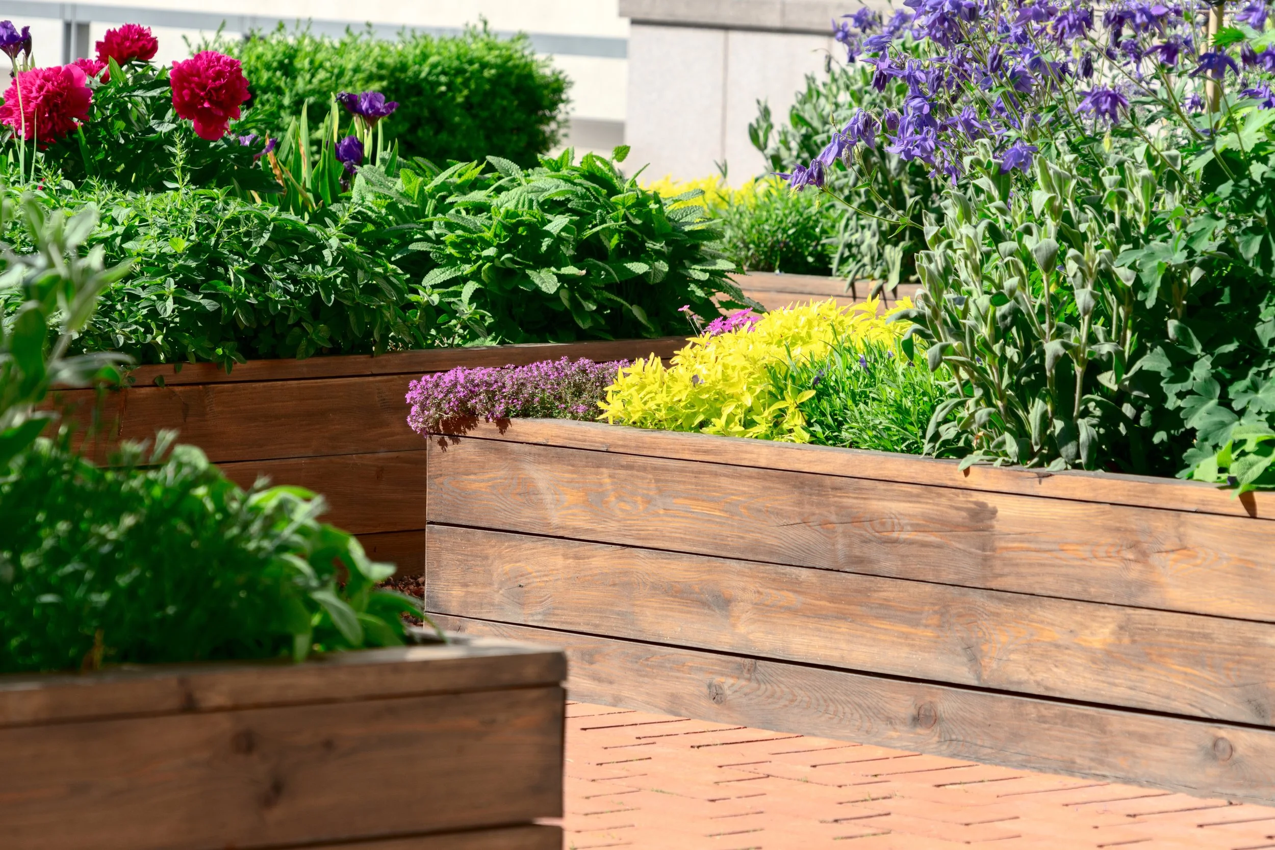 Retaining Wall Ideas: Functional and Decorative Raised Garden Beds