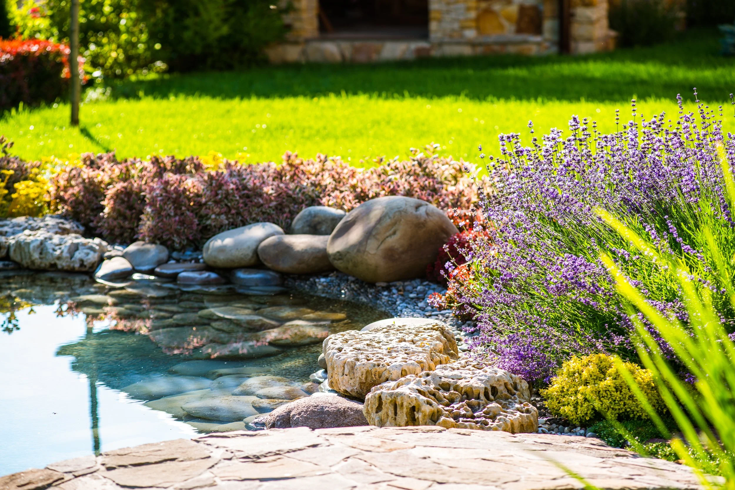 Simple koi pond with low maintenance perennial plants and clean natural landscaping designed for easy backyard upkeep