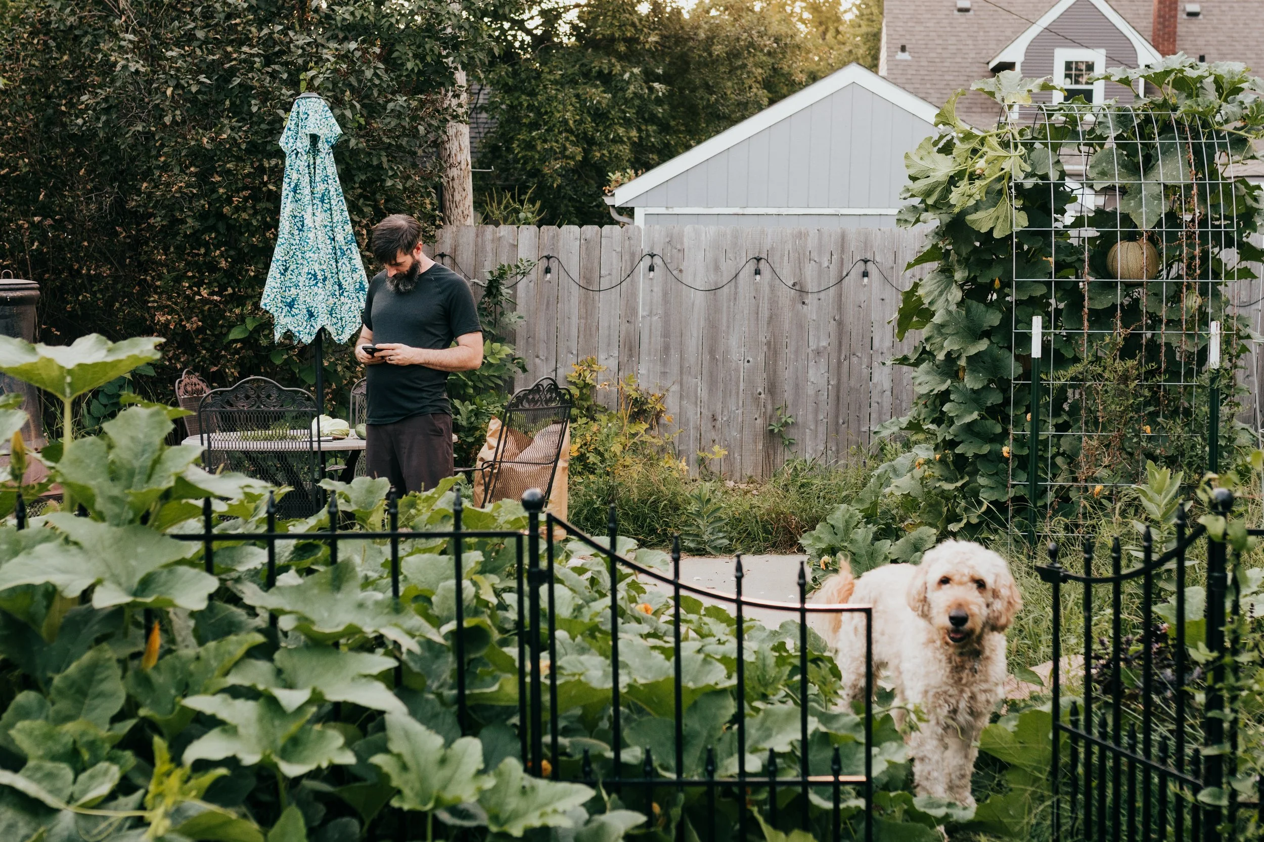 Protected garden area in a dog-friendly backyard with barrier fencing to keep dogs out in Delaware
