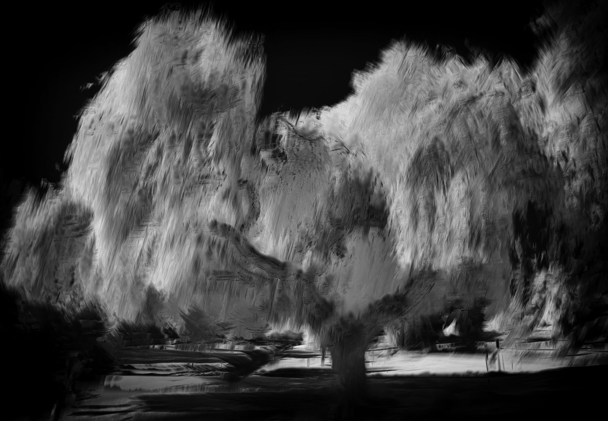 Pepper Tree 