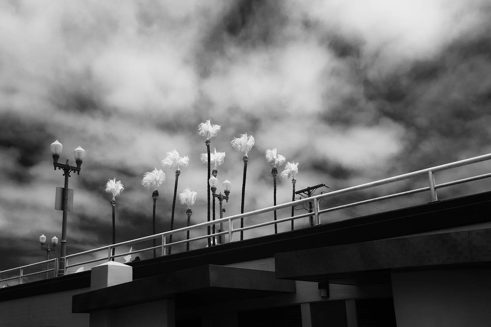 Tall Things