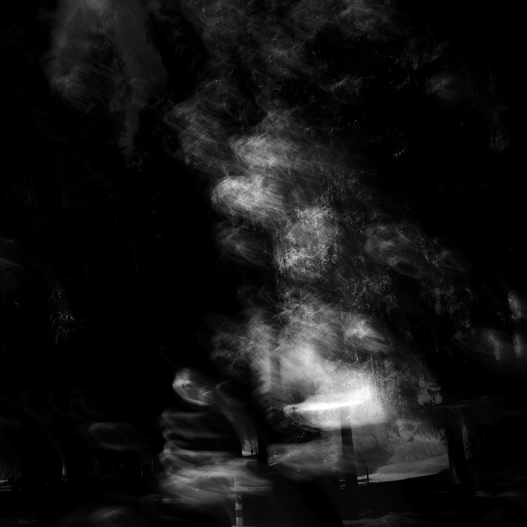 Forest Ghosts