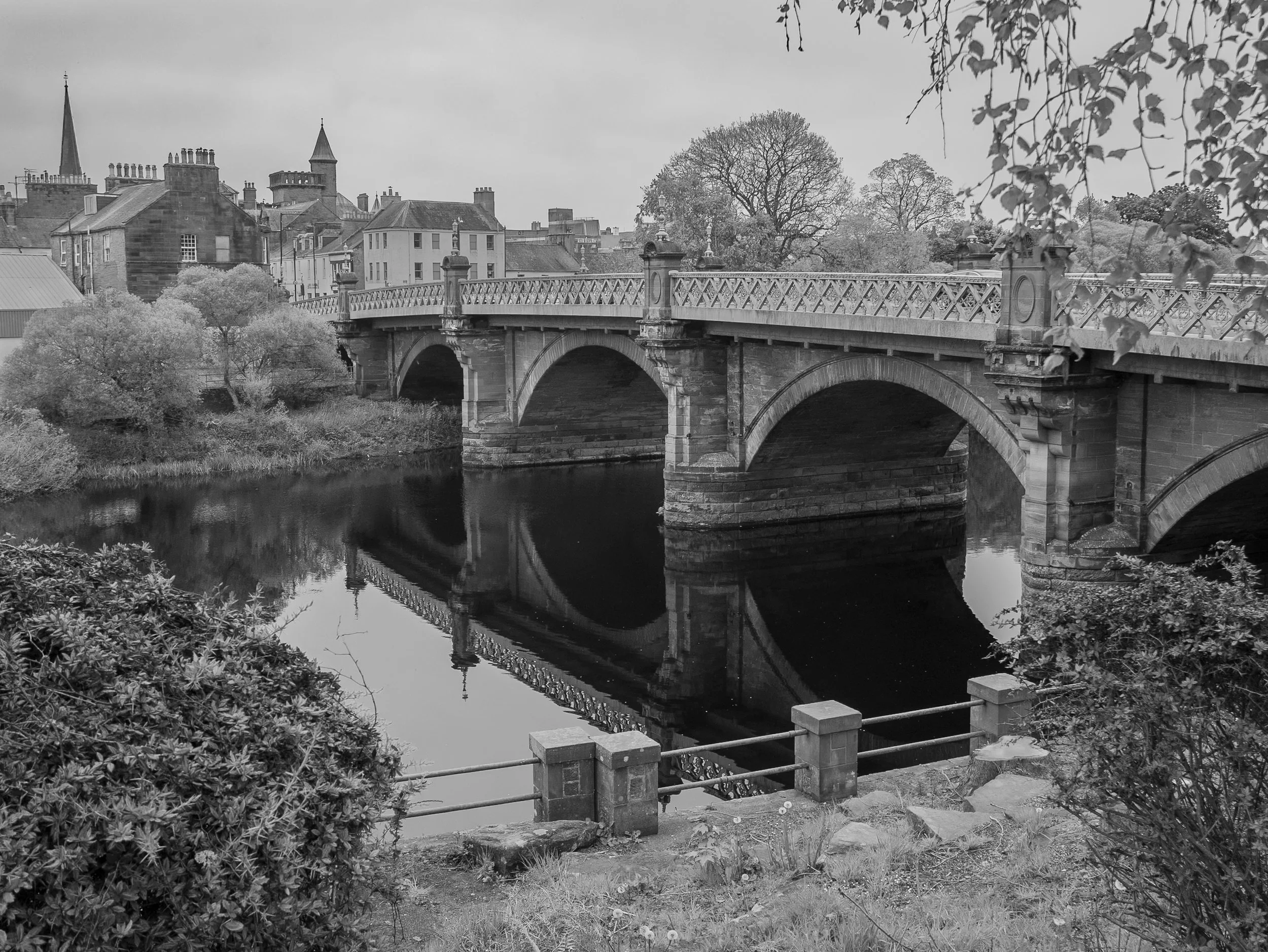 Murky Morning by Jean McMillan (2nd, Division 2 prints)