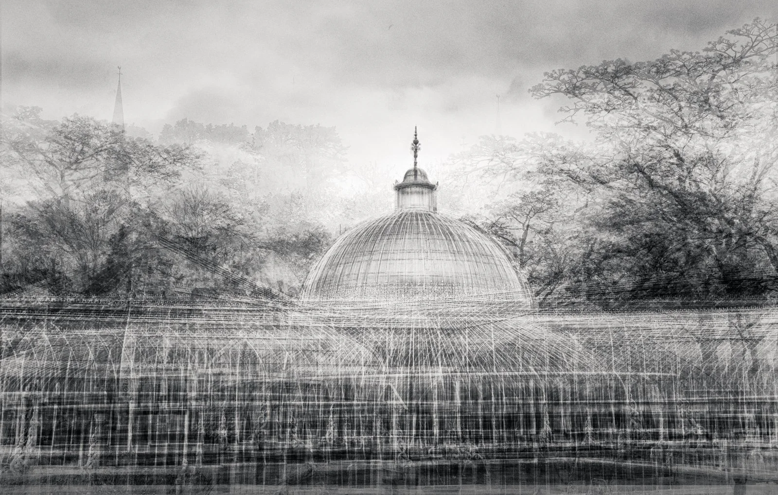 Aspects Of The Botanics by Mike Farrance - Highly Commended Monochrome Prints
