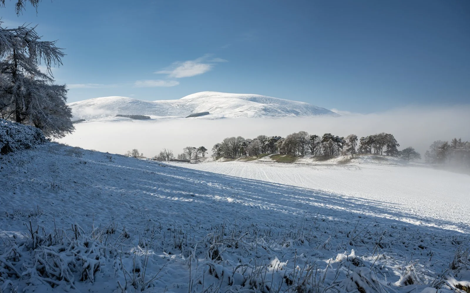 Tinto View by Mike Farrance - Winner Provost's Trophy