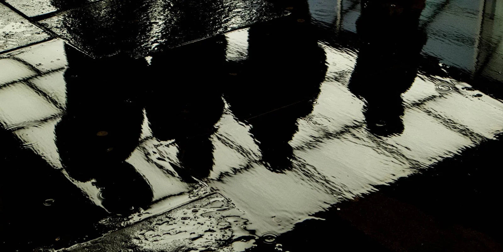 Fab 4 by Heather Simpson (1st, Division 2 images)