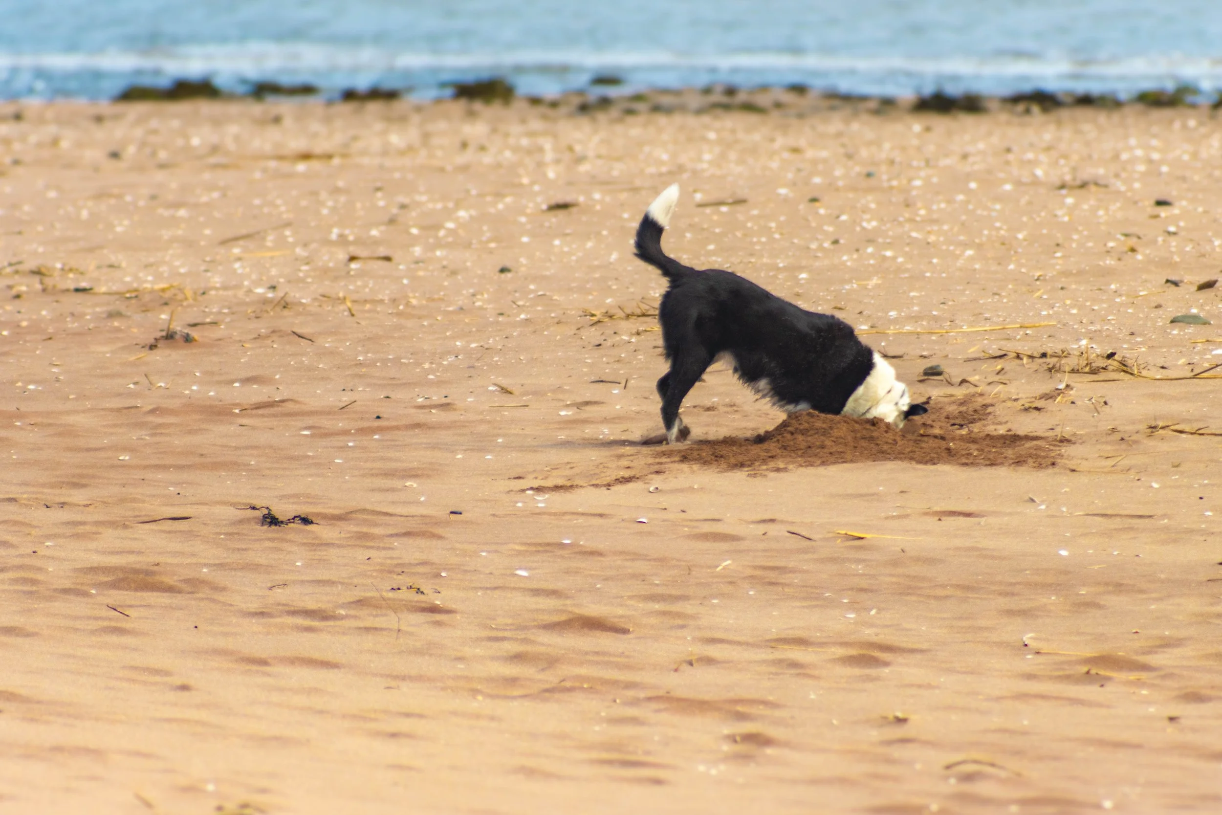 Found It - Jean McMillan (Prints 1st, Division 2)