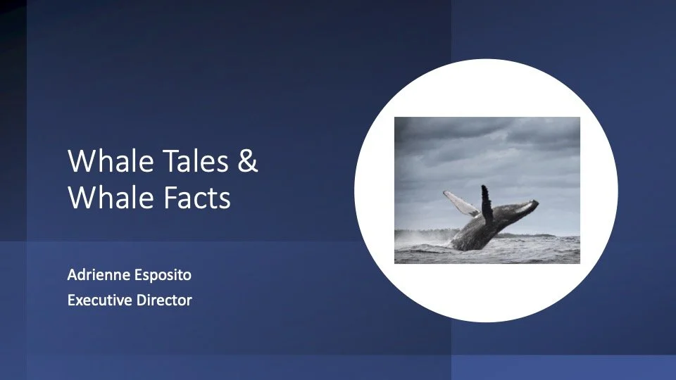 Whale Tales  Whale Facts Presentation CCE.jpg