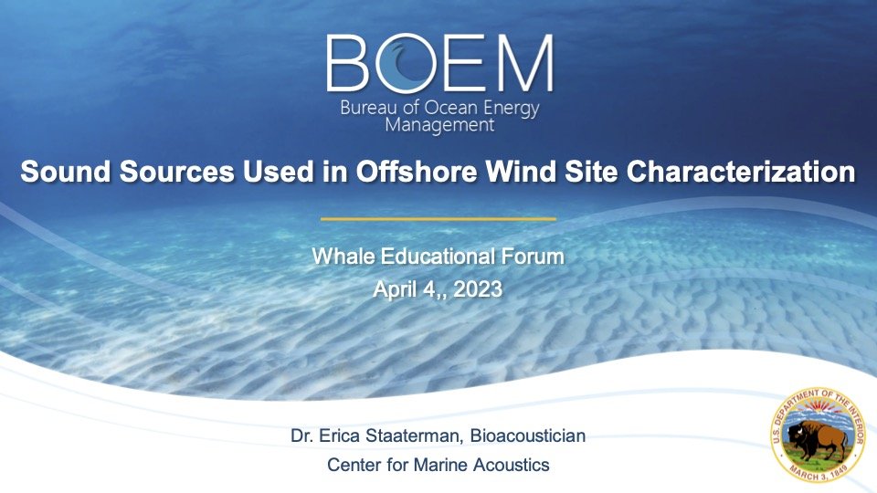 BOEM_WindWhales_4-4-2023.jpg