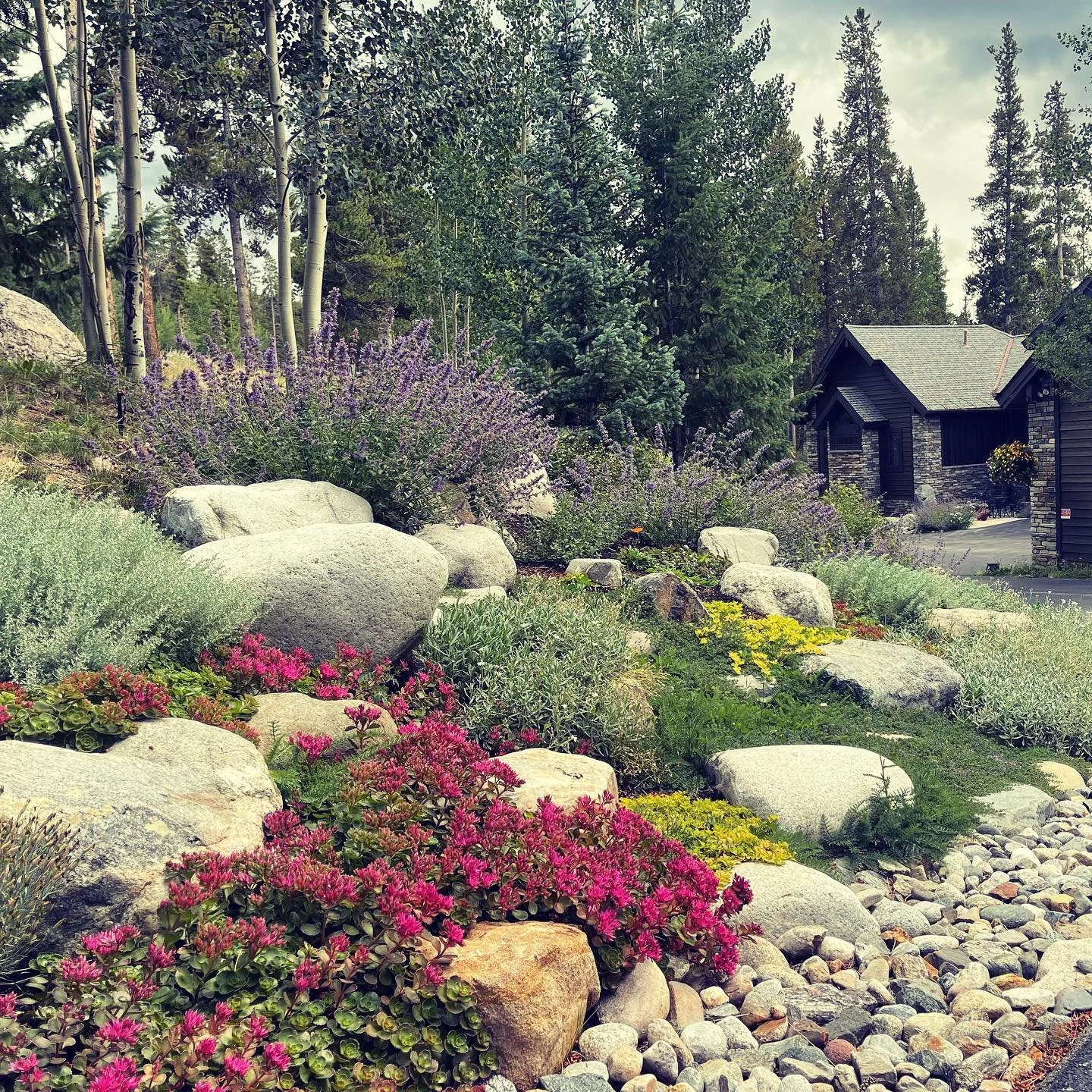 Lush garden entrances are one of our favorite features. 

#mountaingarden #frontentrance #landscapeentrance #landscaping #rockymountainlandscapes